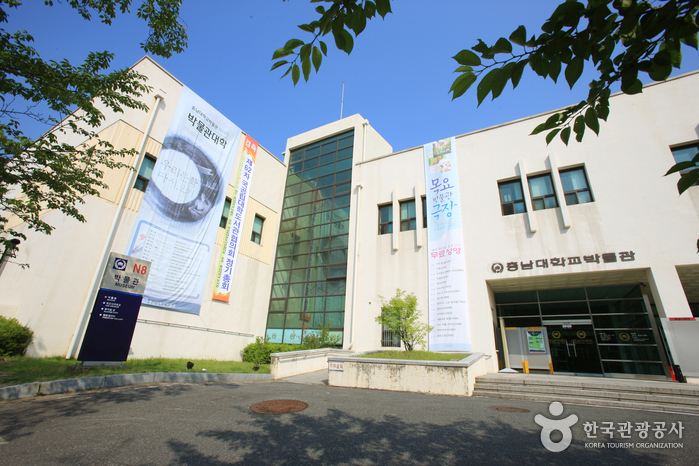 충남대학교박물관 여행 추천 - 메고지고 충남대학교박물관 여행 추천 - 메고지고
