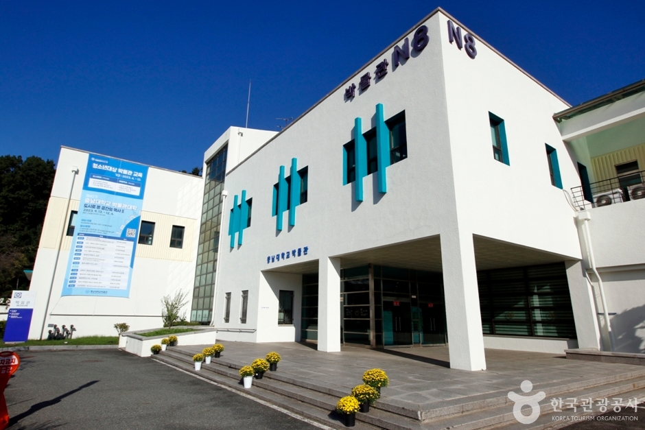충남대학교박물관 여행 추천 - 메고지고 충남대학교박물관 여행 추천 - 메고지고