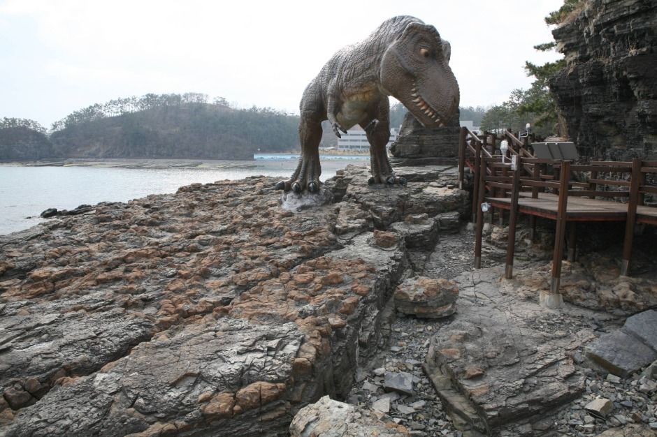 고성 덕명리 공룡발자국과 새발자국 화석산지 여행 추천 - 메고지고 고성 덕명리 공룡발자국과 새발자국 화석산지 여행 추천 - 메고지고