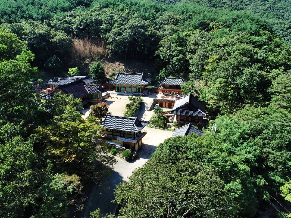 내원사(양산) 여행 추천 - 메고지고 내원사(양산) 여행 추천 - 메고지고