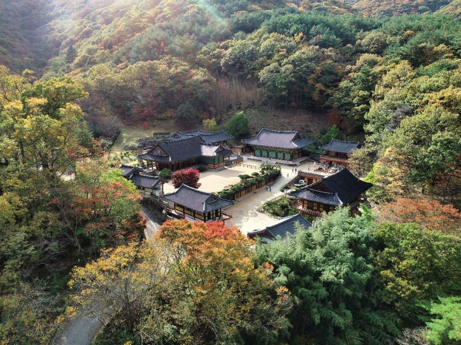 내원사(양산) 여행 추천 - 메고지고 내원사(양산) 여행 추천 - 메고지고
