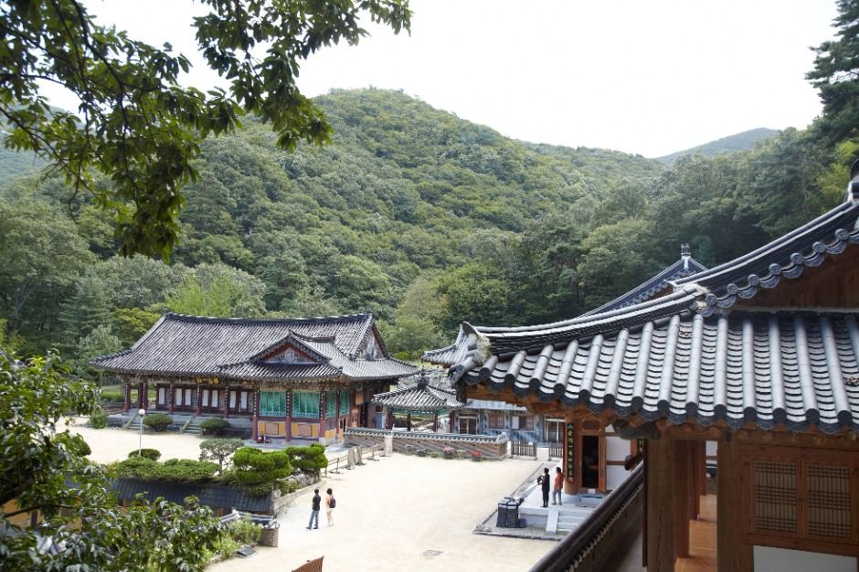 내원사(양산) 여행 추천 - 메고지고 내원사(양산) 여행 추천 - 메고지고
