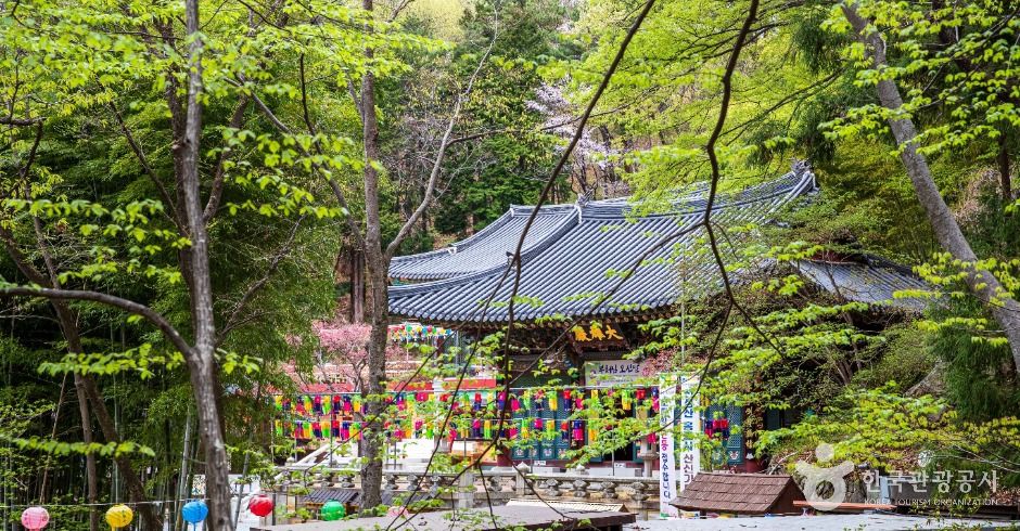 홍룡사(양산) 여행 추천 - 메고지고 홍룡사(양산) 여행 추천 - 메고지고