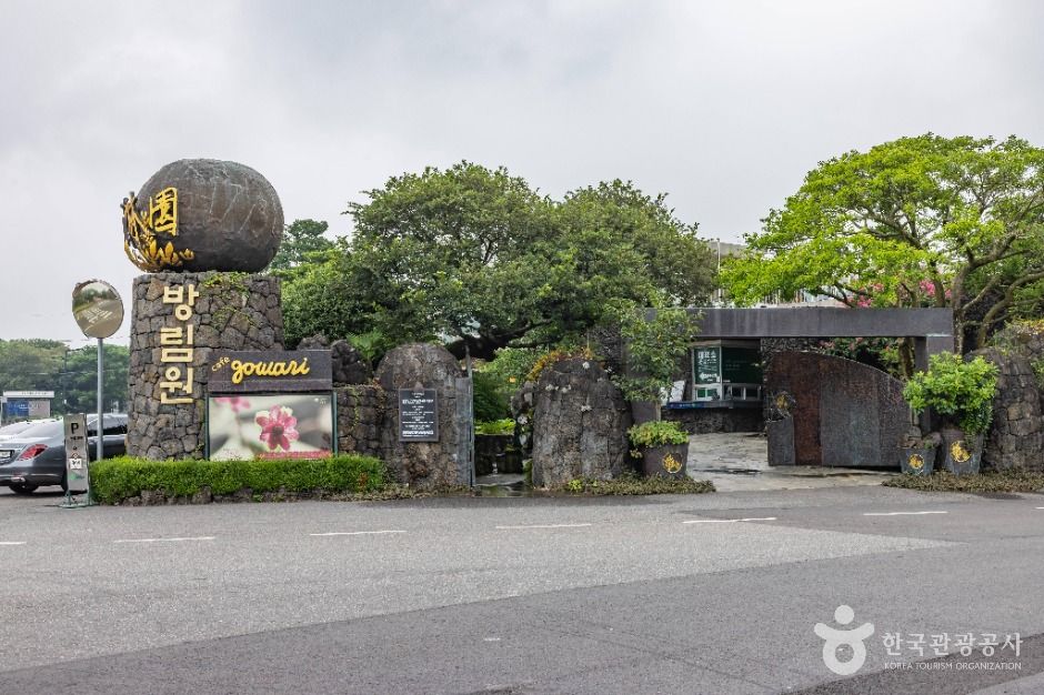 방림원 여행 추천 - 메고지고 방림원 여행 추천 - 메고지고