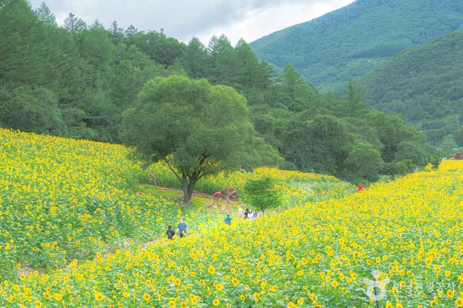 구와우마을 여행 추천 - 메고지고 구와우마을 여행 추천 - 메고지고