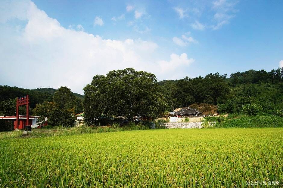충곡서원 여행 추천 - 메고지고 충곡서원 여행 추천 - 메고지고