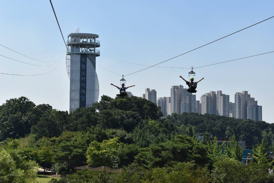 의왕스카이레일 여행 추천 - 메고지고 의왕스카이레일 여행 추천 - 메고지고