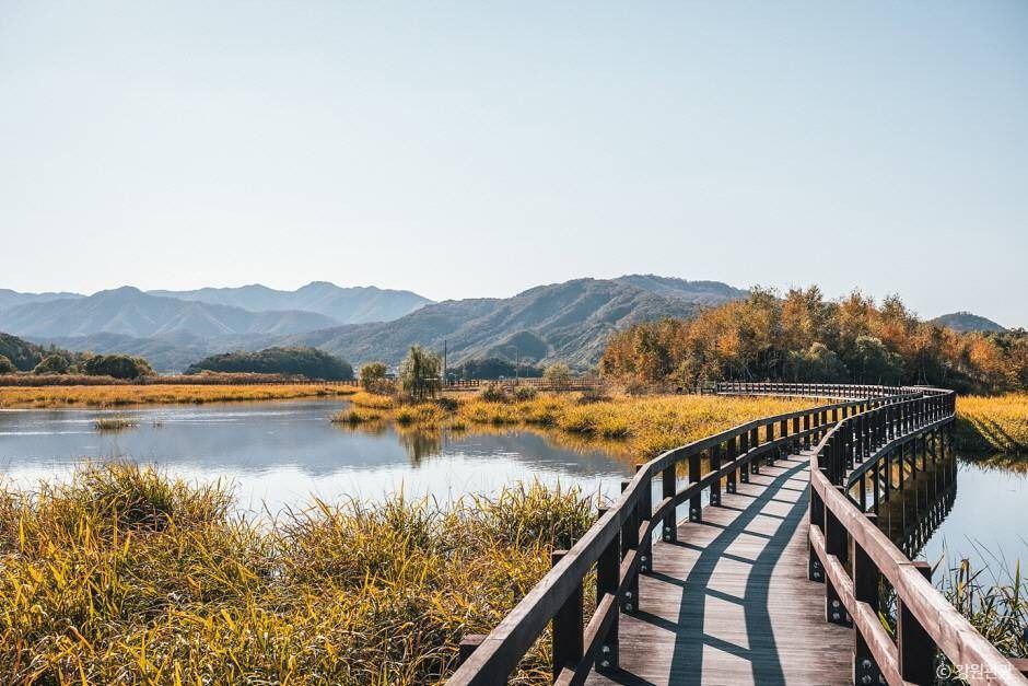 학저수지 여행 추천 - 메고지고 학저수지 여행 추천 - 메고지고