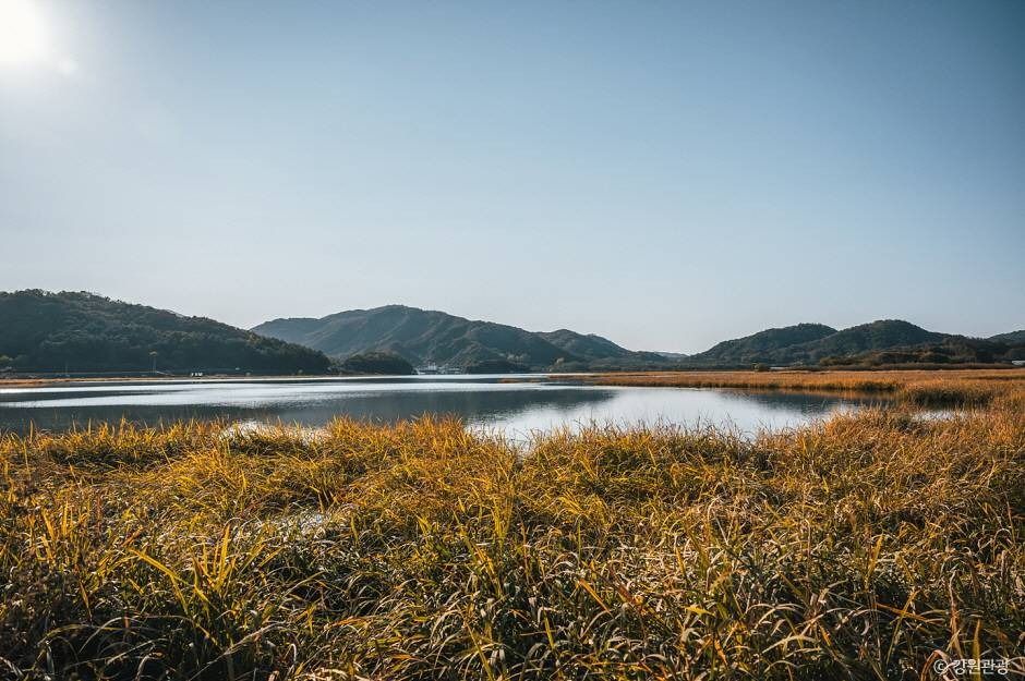 학저수지 여행 추천 - 메고지고 학저수지 여행 추천 - 메고지고