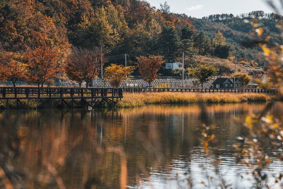 학저수지 여행 추천 - 메고지고 학저수지 여행 추천 - 메고지고