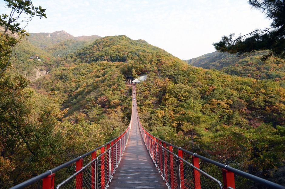 감악산 출렁다리 여행 추천 - 메고지고 감악산 출렁다리 여행 추천 - 메고지고