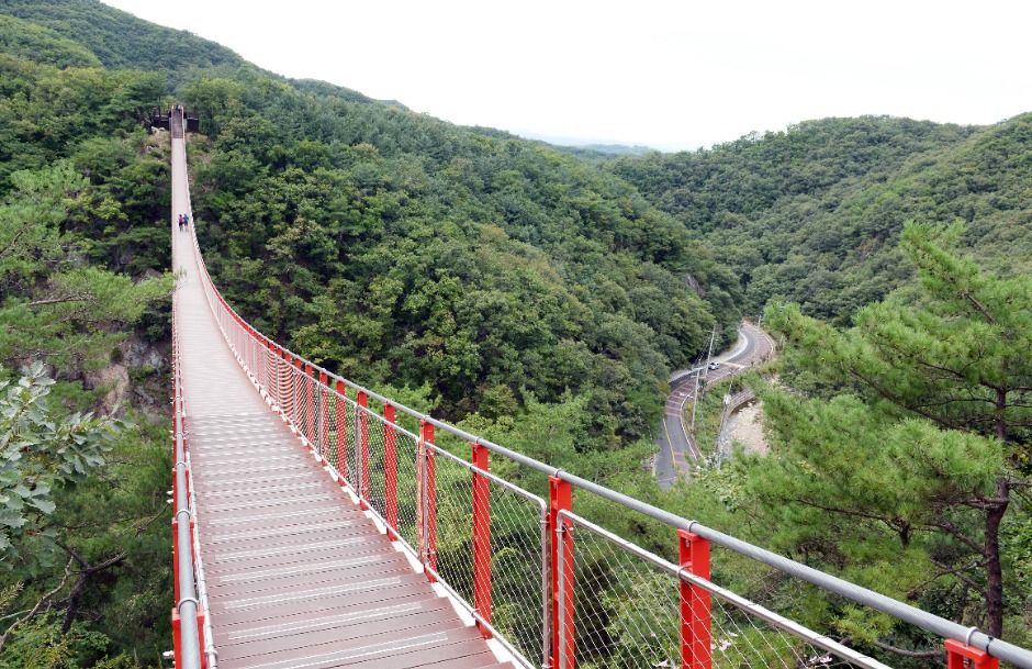감악산 출렁다리 여행 추천 - 메고지고 감악산 출렁다리 여행 추천 - 메고지고