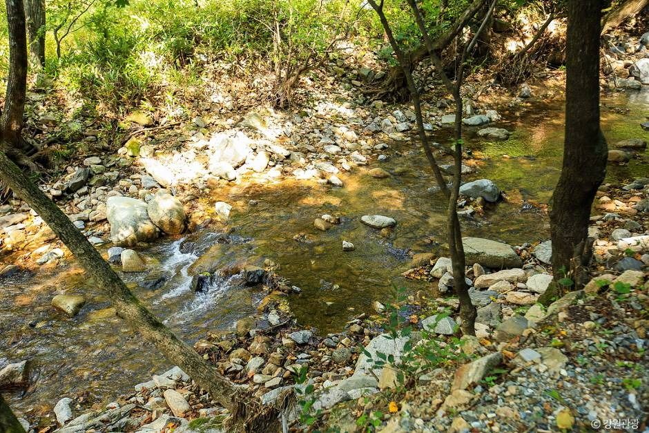 미약골 여행 추천 - 메고지고 미약골 여행 추천 - 메고지고