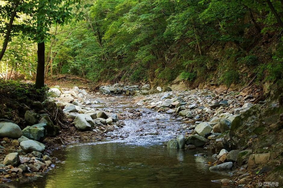 미약골 여행 추천 - 메고지고 미약골 여행 추천 - 메고지고