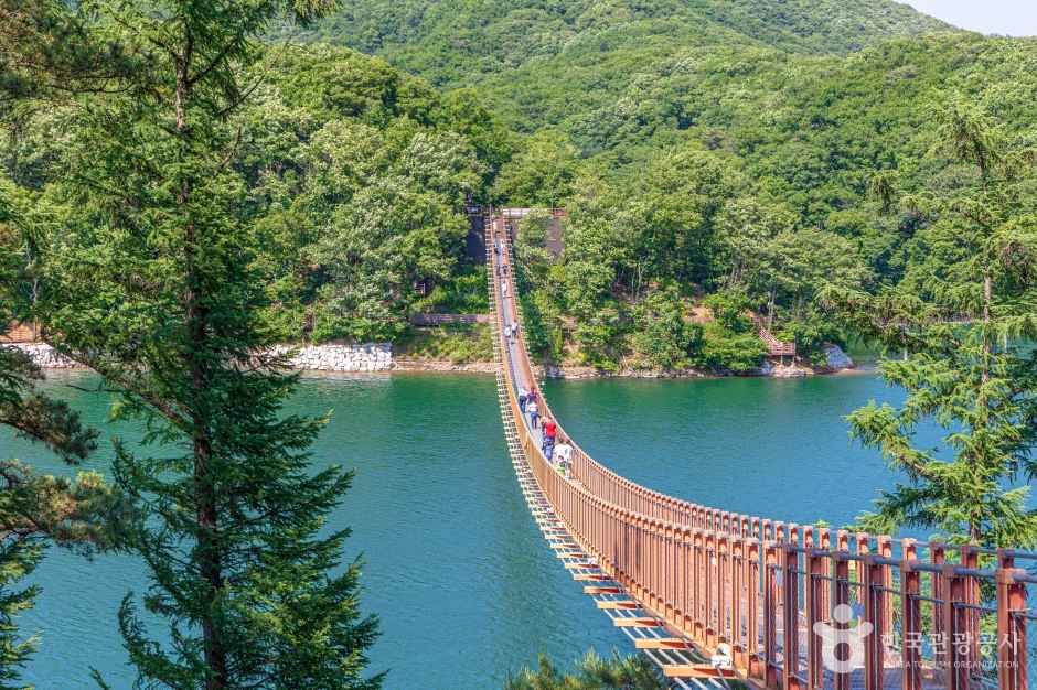 마장호수 출렁다리 여행 추천 - 메고지고 마장호수 출렁다리 여행 추천 - 메고지고