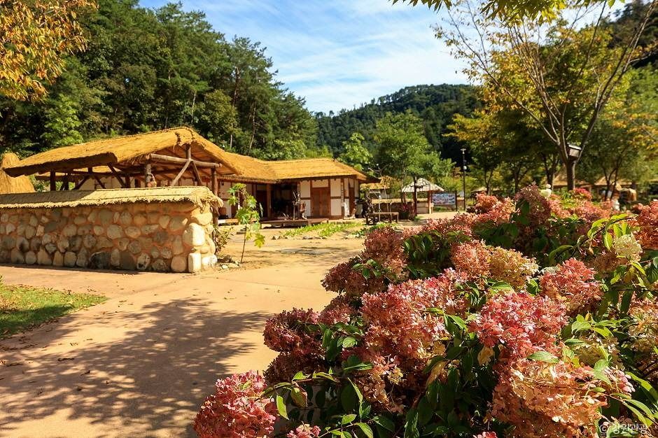 수타사 농촌테마공원 여행 추천 - 메고지고 수타사 농촌테마공원 여행 추천 - 메고지고