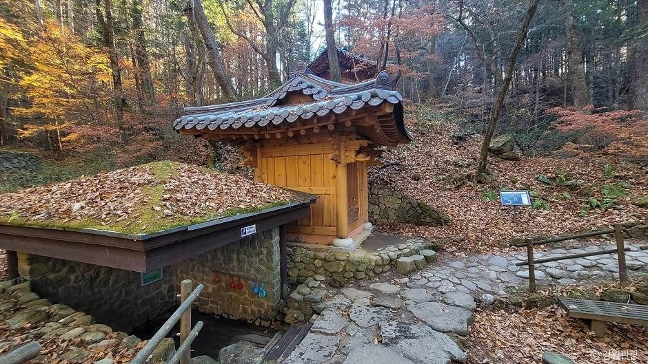 밀브릿지 여행 추천 - 메고지고 밀브릿지 여행 추천 - 메고지고