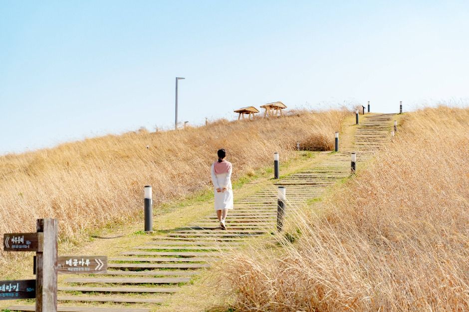 배곧생명공원 여행 추천 - 메고지고 배곧생명공원 여행 추천 - 메고지고