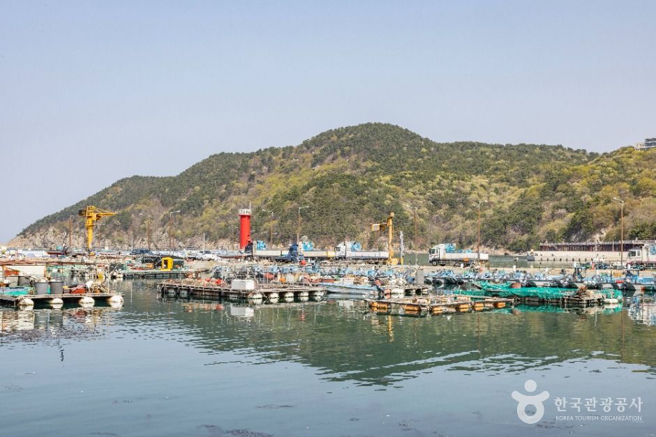 대항선착장 여행 추천 - 메고지고 대항선착장 여행 추천 - 메고지고