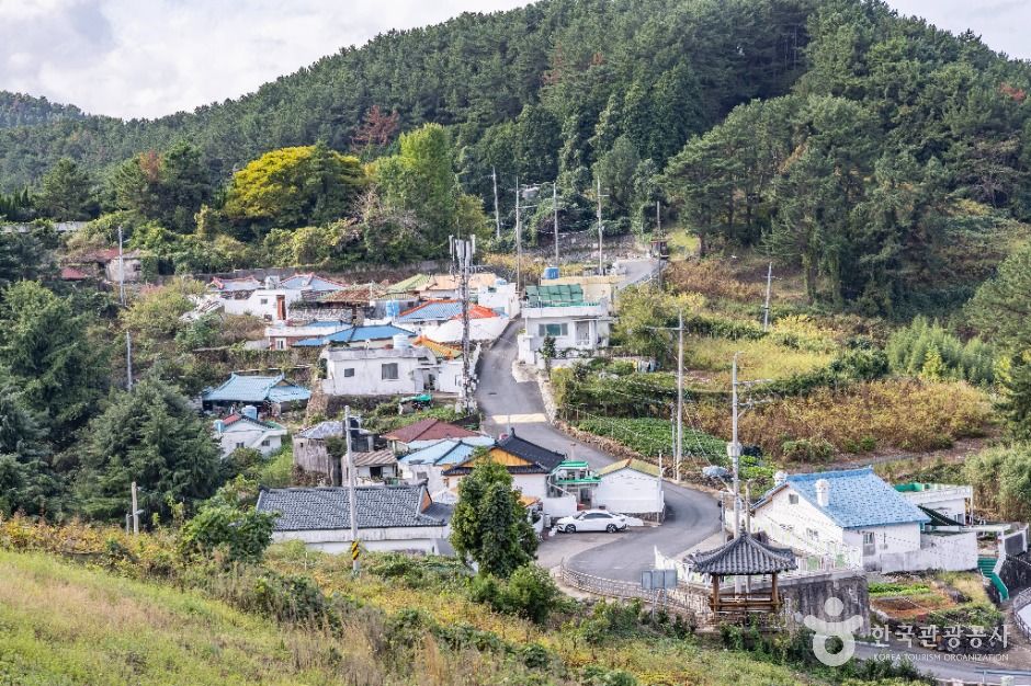 문어포마을 여행 추천 - 메고지고 문어포마을 여행 추천 - 메고지고
