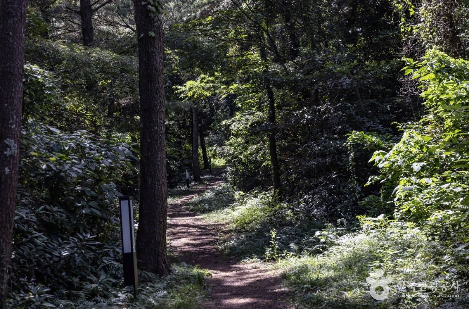 대수산봉 여행 추천 - 메고지고 대수산봉 여행 추천 - 메고지고
