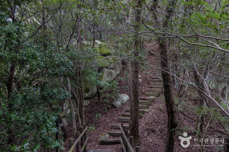 비진도 산호길 여행 추천 - 메고지고