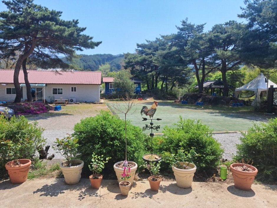 명천물숲마을 여행 추천 - 메고지고 명천물숲마을 여행 추천 - 메고지고