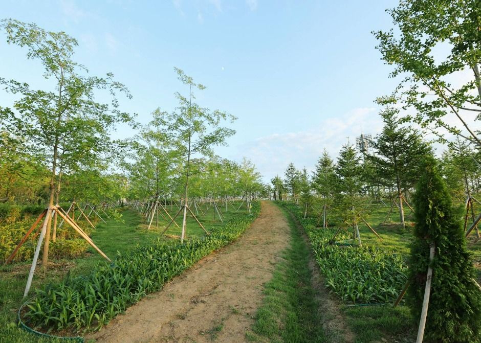 충주 시민의 숲 여행 추천 - 메고지고