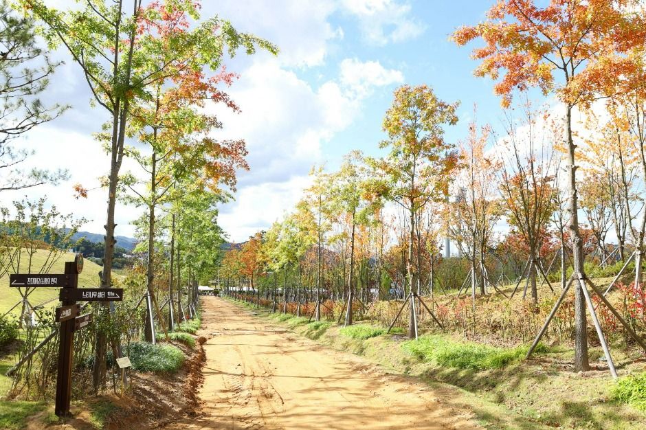 충주 시민의 숲 여행 추천 - 메고지고