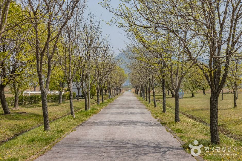 맥도생태공원 여행 추천 - 메고지고 맥도생태공원 여행 추천 - 메고지고