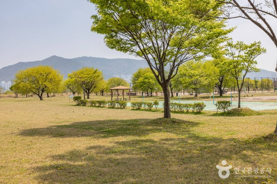 맥도생태공원 여행 추천 - 메고지고 맥도생태공원 여행 추천 - 메고지고