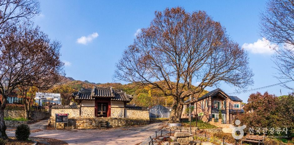 이천 산수유마을 여행 추천 - 메고지고 이천 산수유마을 여행 추천 - 메고지고