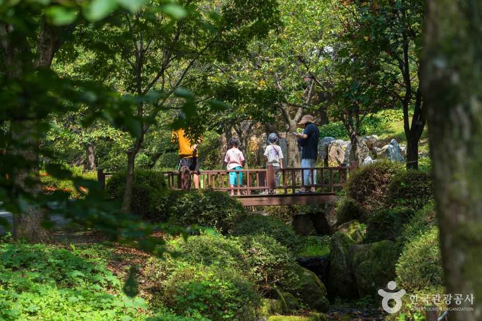 용인자연휴양림 여행 추천 - 메고지고 용인자연휴양림 여행 추천 - 메고지고