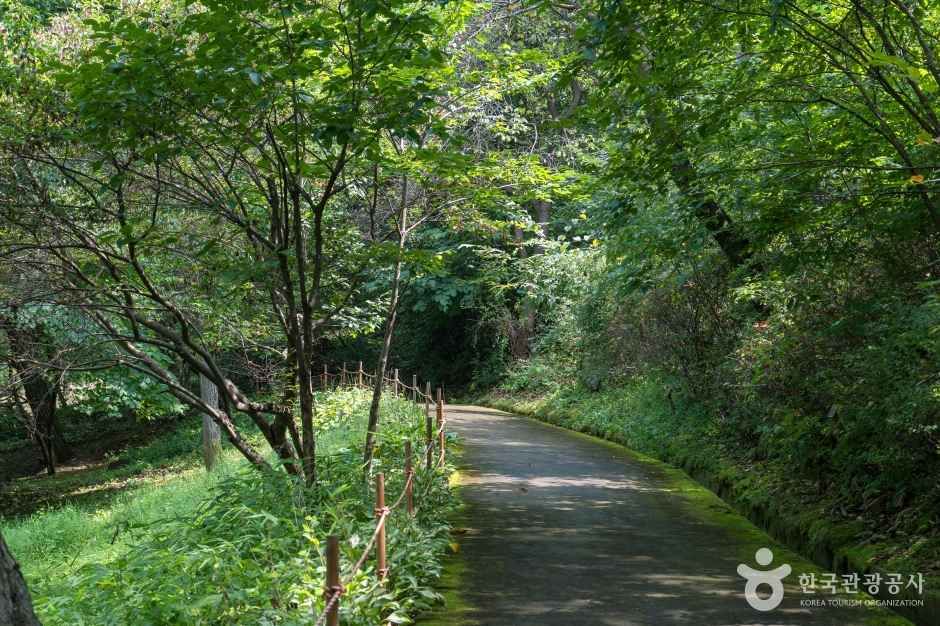 용인자연휴양림 여행 추천 - 메고지고 용인자연휴양림 여행 추천 - 메고지고