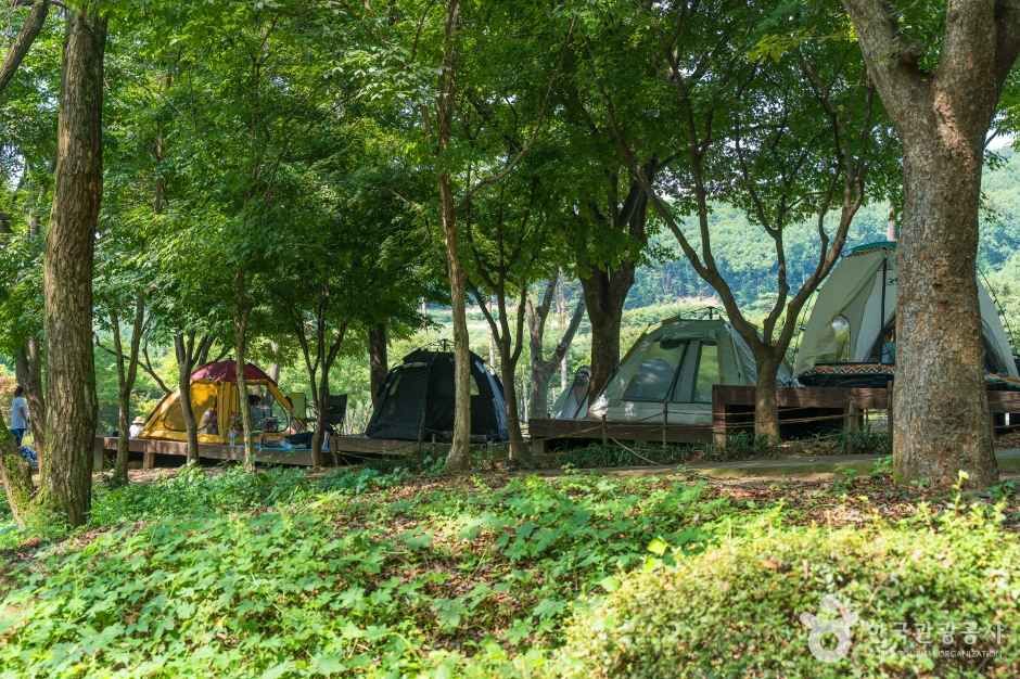 용인자연휴양림 여행 추천 - 메고지고 용인자연휴양림 여행 추천 - 메고지고