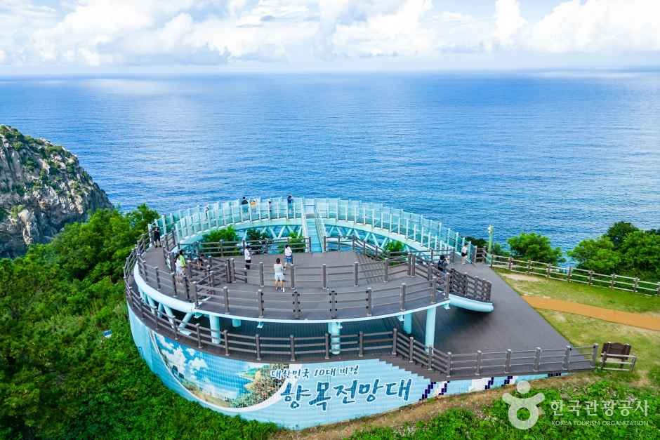 울릉도 여행 추천 - 메고지고 울릉도 여행 추천 - 메고지고