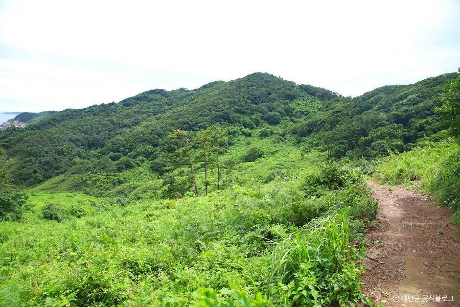 가의도 여행 추천 - 메고지고 가의도 여행 추천 - 메고지고