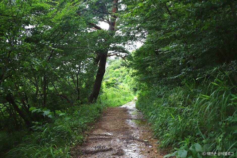 가의도 여행 추천 - 메고지고 가의도 여행 추천 - 메고지고