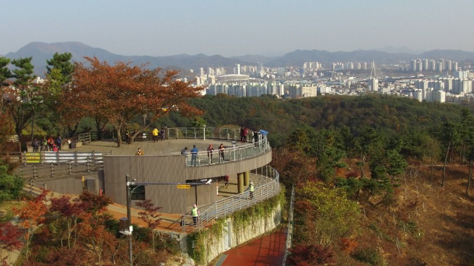선학산전망대 여행 추천 - 메고지고