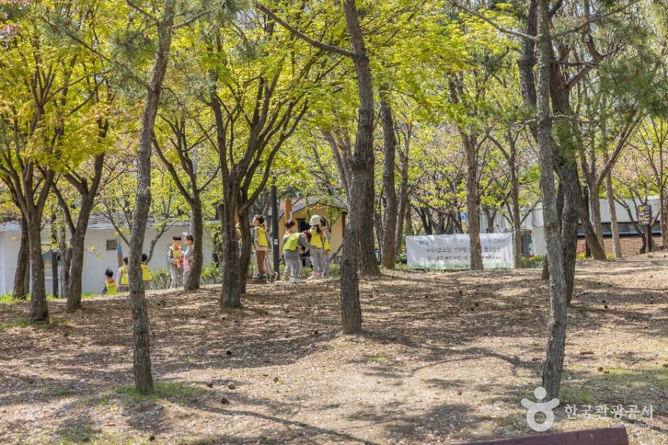 명지동근린공원 여행 추천 - 메고지고 명지동근린공원 여행 추천 - 메고지고