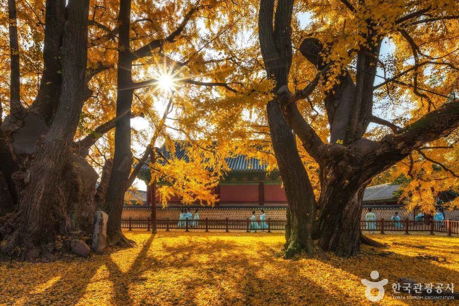 서울 문묘와 성균관 여행 추천 - 메고지고 서울 문묘와 성균관 여행 추천 - 메고지고