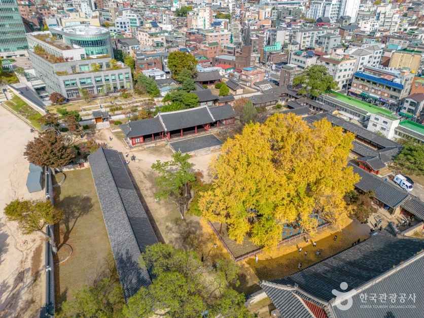 서울 문묘와 성균관 여행 추천 - 메고지고 서울 문묘와 성균관 여행 추천 - 메고지고