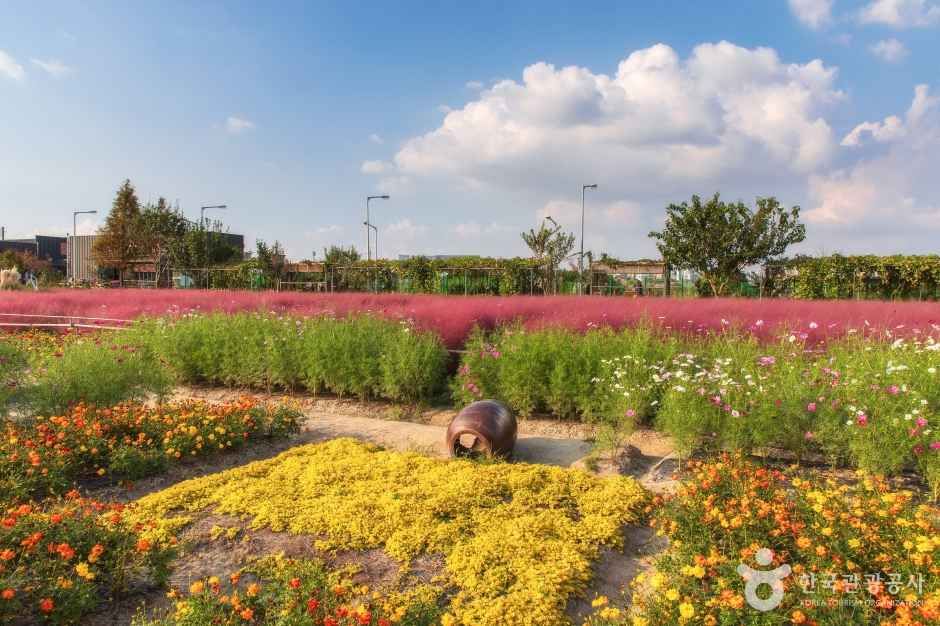 바람새마을 여행 추천 - 메고지고 바람새마을 여행 추천 - 메고지고