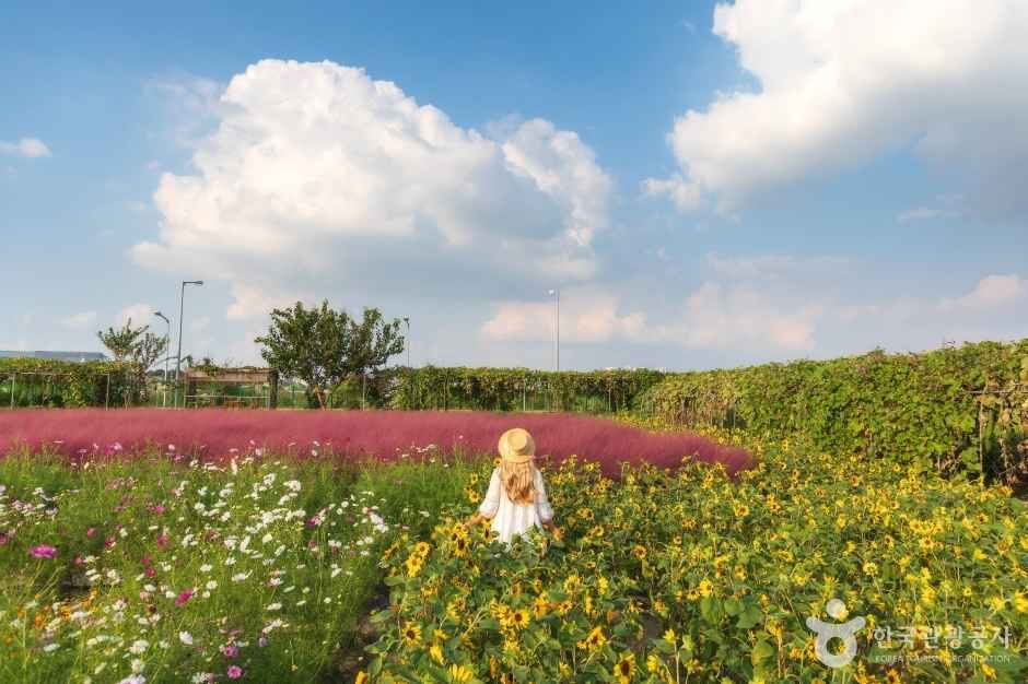 바람새마을 여행 추천 - 메고지고 바람새마을 여행 추천 - 메고지고
