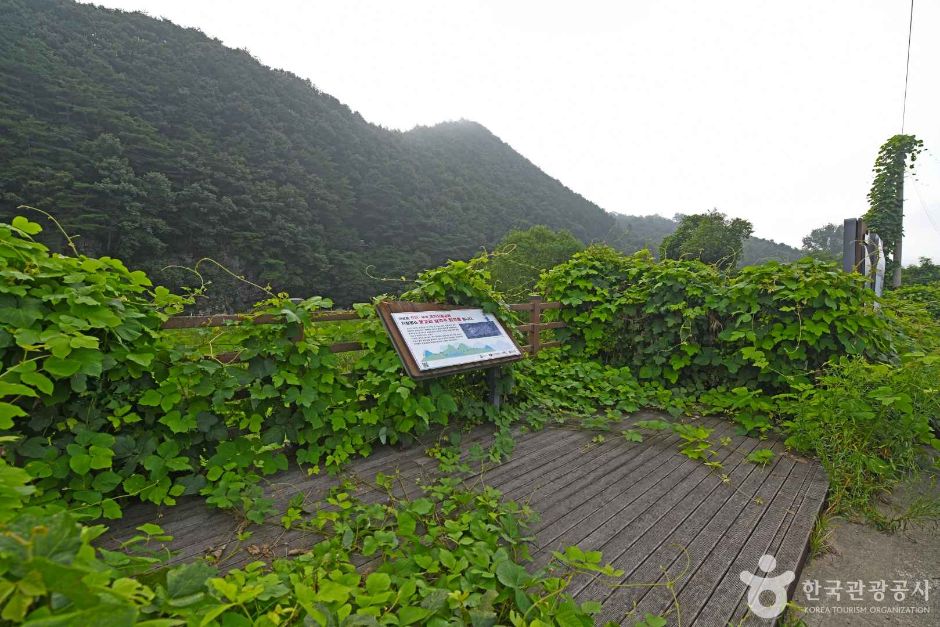 운교리 삼각주 퇴적층 여행 추천 - 메고지고 운교리 삼각주 퇴적층 여행 추천 - 메고지고