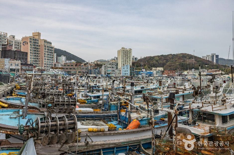 다대포항 여행 추천 - 메고지고