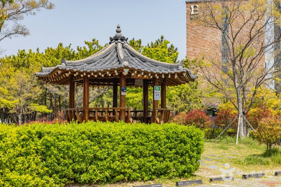 신호공원 여행 추천 - 메고지고 신호공원 여행 추천 - 메고지고