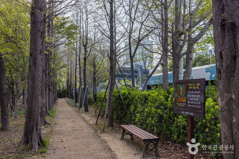 고흐의 길 여행 추천 - 메고지고 고흐의 길 여행 추천 - 메고지고
