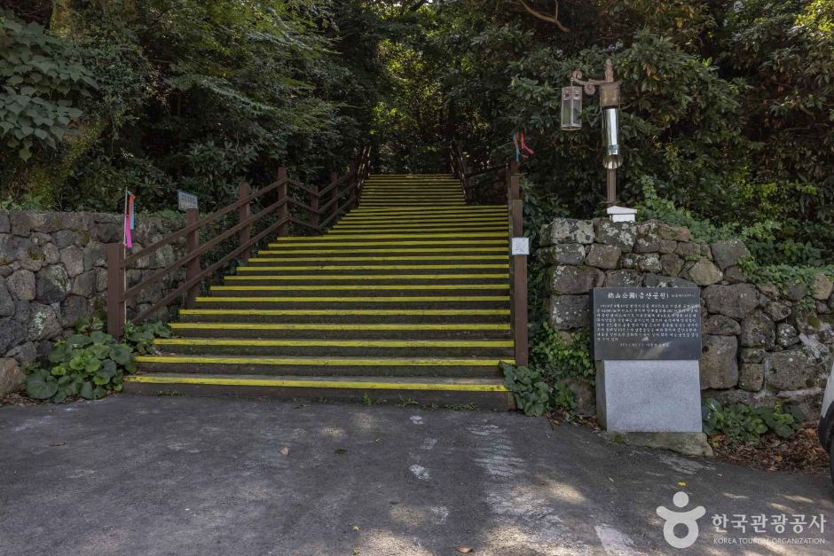 금산공원(납읍난대림지대) 여행 추천 - 메고지고 금산공원(납읍난대림지대) 여행 추천 - 메고지고
