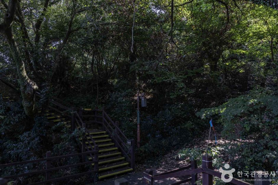 금산공원(납읍난대림지대) 여행 추천 - 메고지고 금산공원(납읍난대림지대) 여행 추천 - 메고지고